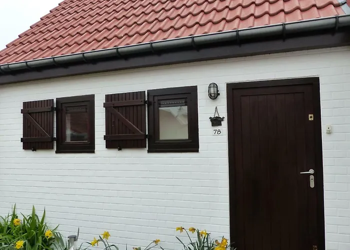 Duinenhof База отдыха *